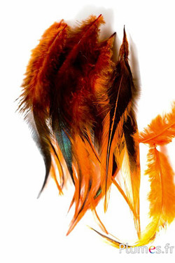 Hahnenkreuz badger - 10-15 cm - blutorange